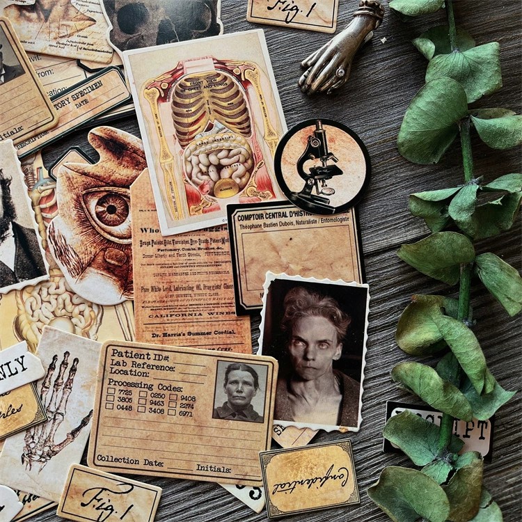 DIY Scrapbooking Vintage Doll  – Photography Journal recenzja i cena
