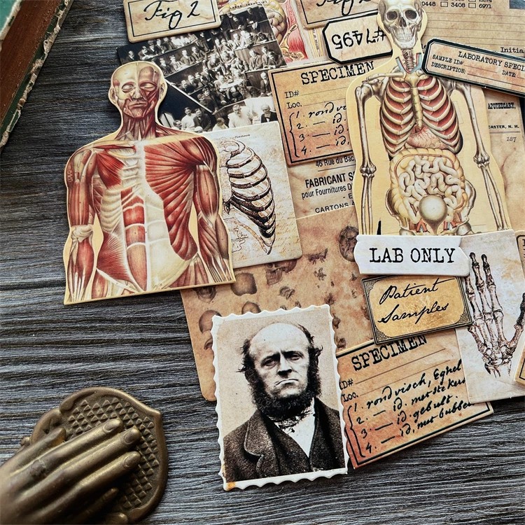 DIY Scrapbooking Vintage Doll  – Photography Journal recenzja i cena